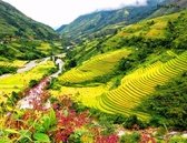 5 must-go places in Sapa