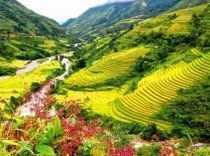 Trekking to Muong Hoa Valley (3 days)
