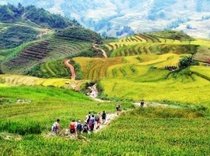 Muong Hoa Valley Adventure